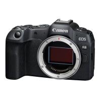 EOS_R8___RF_24_50mm_f_4_5_6_3_IS_STM_5