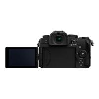 Panasonic_G90_14_140mm_8