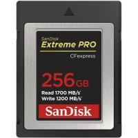 CFexpress_Extreme_Pro_256GB_1700_1200MB_s_Type_B